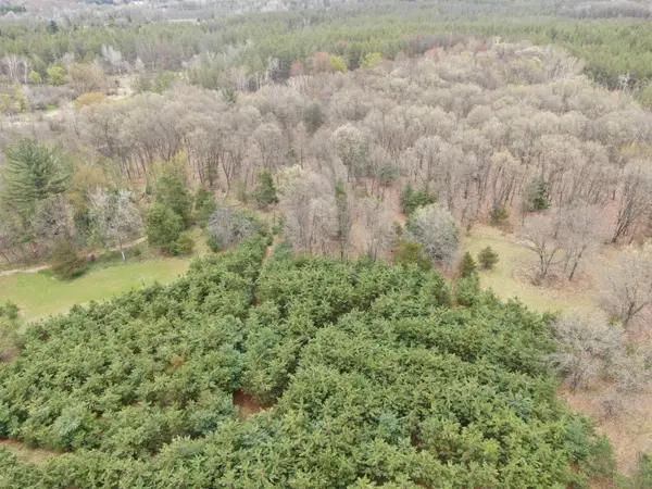 88+/- AC Dakota Ave Acres, Neshkoro, WI 54960