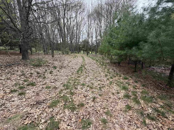88+/- AC Dakota Ave Acres, Neshkoro, WI 54960