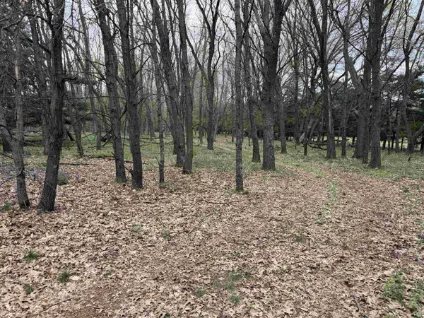 88+/- AC Dakota Ave Acres, Neshkoro, WI 54960