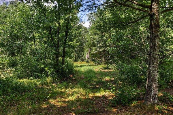 000 Deerborn Dr, Quincy, WI 53934