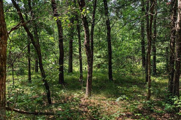 000 Deerborn Dr, Quincy, WI 53934