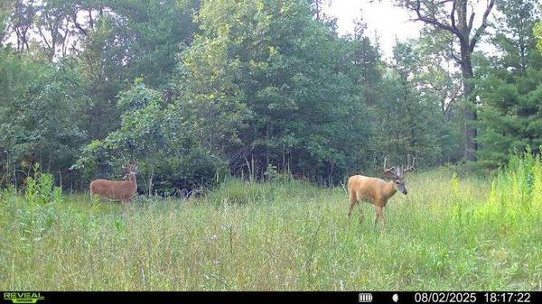 000 Deerborn Dr, Quincy, WI 53934