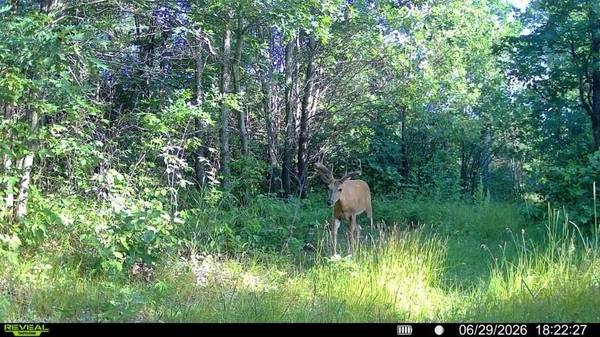 2058 County Road Z -, Quincy, WI 53934