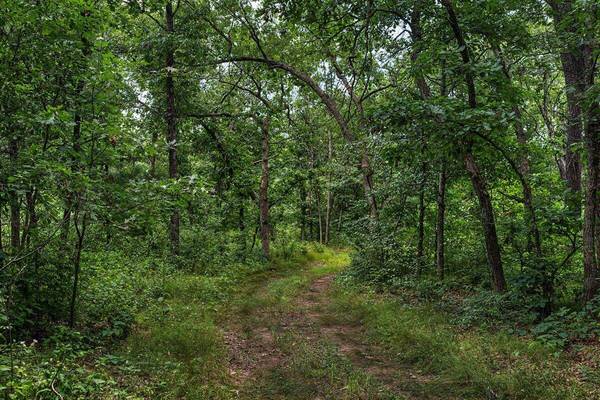 2058 County Road Z -, Quincy, WI 53934