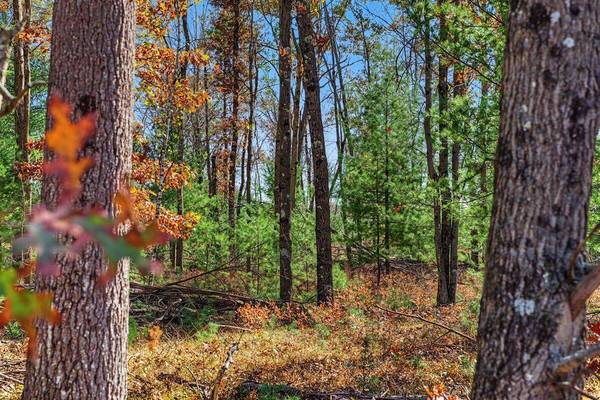 00 Crescent Rd, Byron, WI 54666