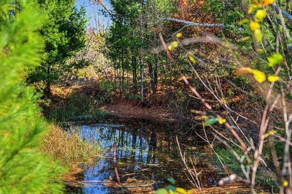 00 Crescent Rd, Byron, WI 54666