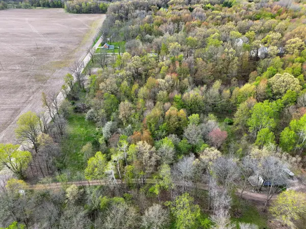 V/L Biggs NE Avenue, Lowell, MI 49331