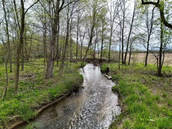 V/L Biggs NE Avenue, Lowell, MI 49331