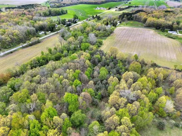 V/L Lot 1 S Fenmore Road, Bannister, MI 48807