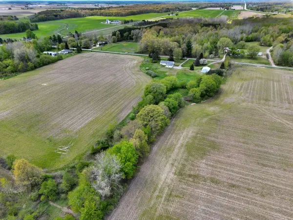 16753 S Fenmore Road, Bannister, MI 48807