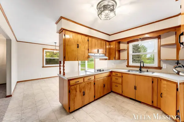 16753 S Fenmore Road, Bannister, MI 48807