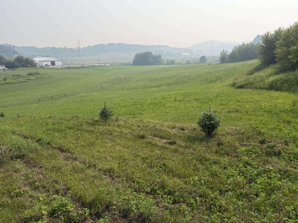 Lot 44 Bluestem Ln, Gale, WI 54661