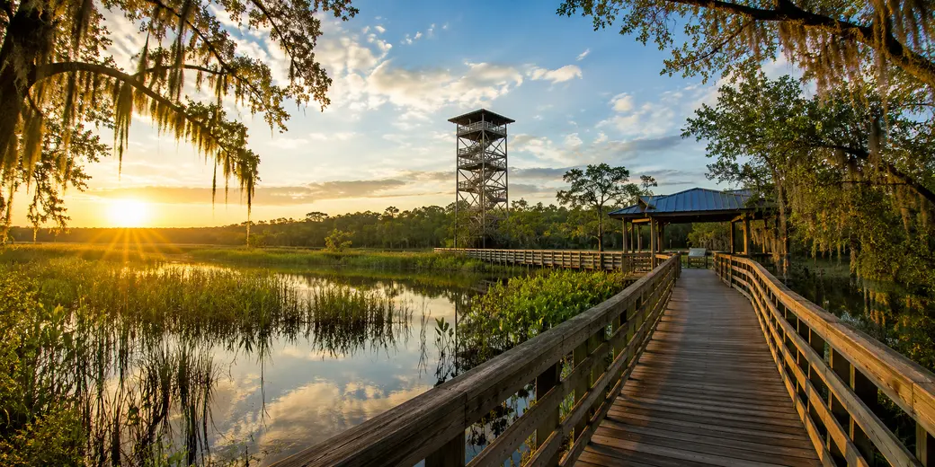 Things to Do In Valdosta Georgia: A Local Guide