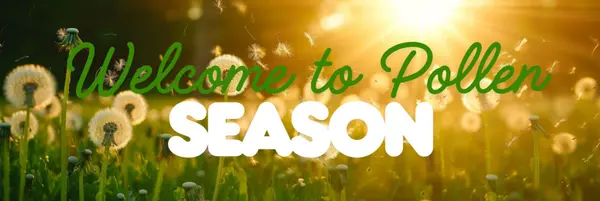 Spring Has Sprung in South Georgia… And So Has the Pollen