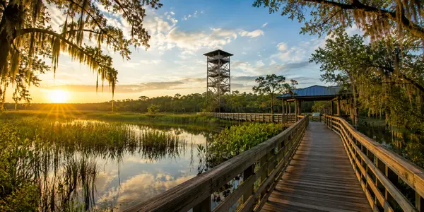 Things to Do In Valdosta Georgia: A Local Guide