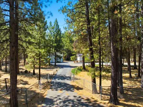 15362 Ponderosa LOOP