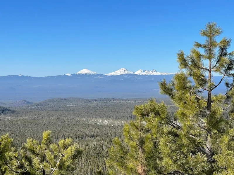 La Pine