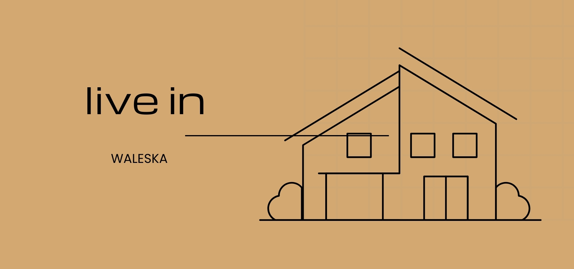 LIVE IN WALESKA NORTH ATLANTA HOME TEAM