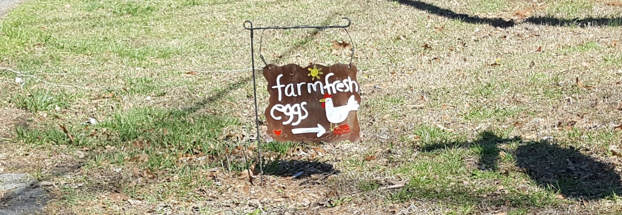 Roper Road Canton Georgia Farm Fresh Eggs
