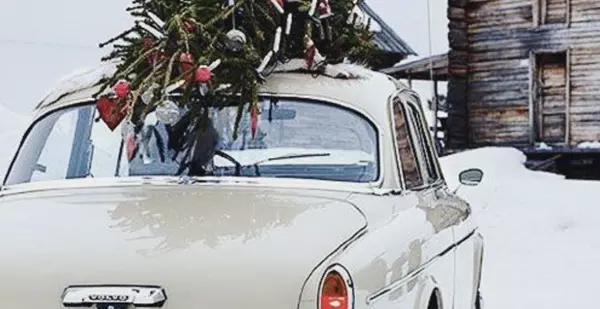 feature image of 4 Last Minute Ways to Give Your Home Some Christmas Cheer