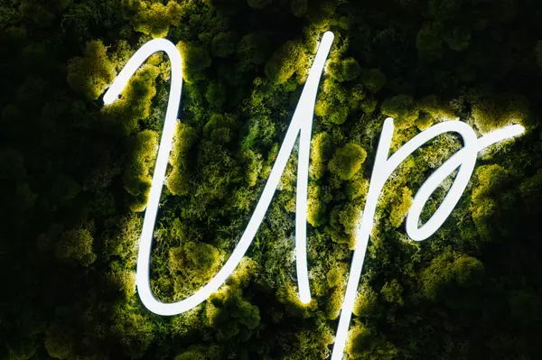 Collin County Housing Inventory Surges: What It Means for 2025