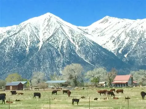 Gardnerville