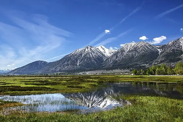 Gardnerville