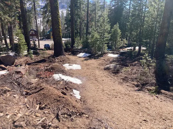 8715 Johnson Pass Road, Twin Bridges, CA 96150