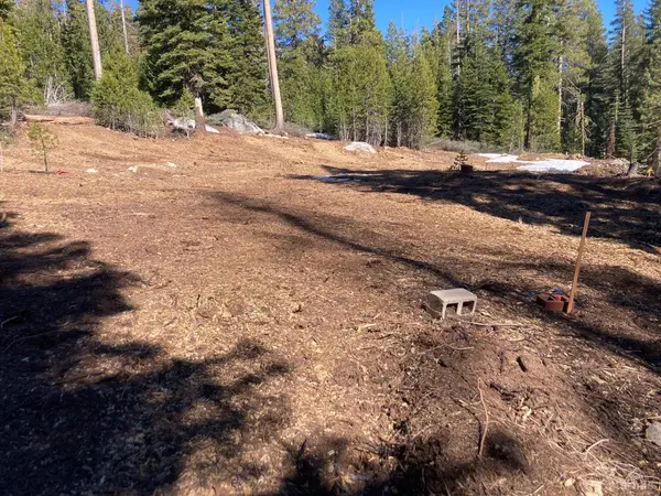8715 Johnson Pass Road, Twin Bridges, CA 96150