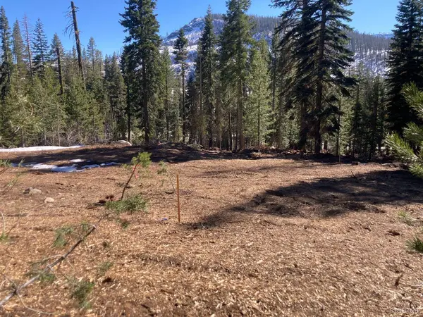 8715 Johnson Pass Road, Twin Bridges, CA 96150