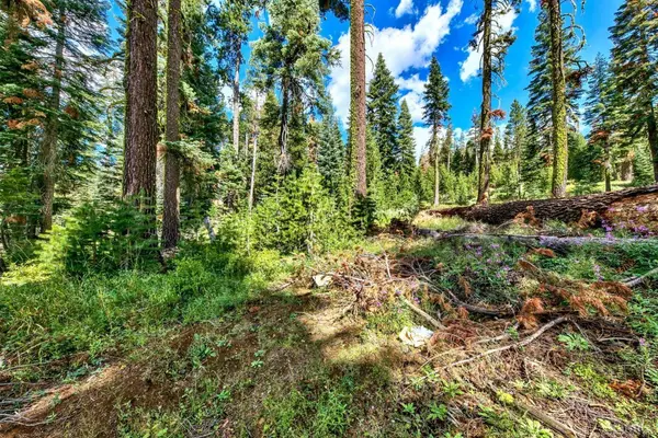 8715 Johnson Pass Road, Twin Bridges, CA 96150
