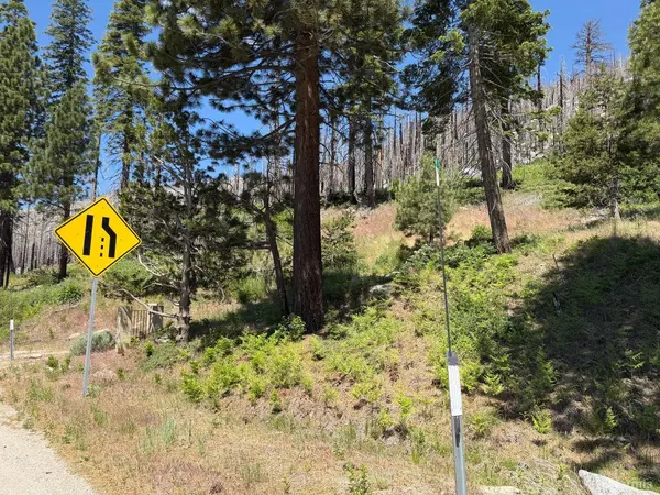 South Lake Tahoe, CA 96150