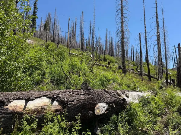 South Lake Tahoe, CA 96150