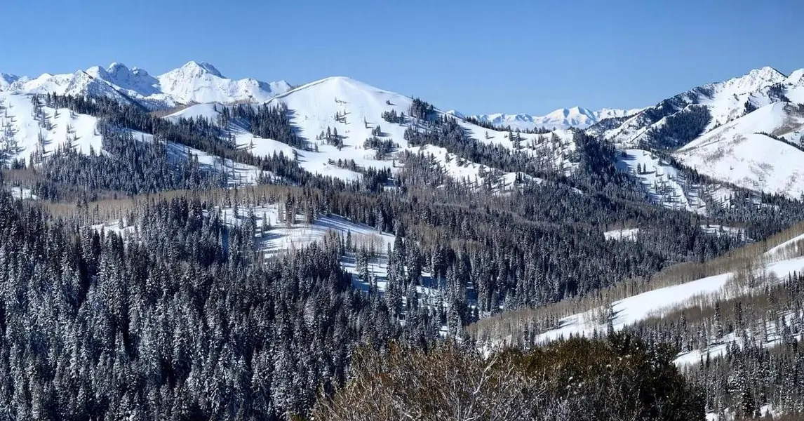 Glenwild