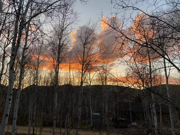 feature image of Where Are Nightly Rentals Legal in Park City?