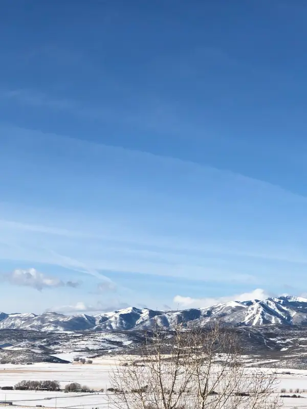 Deer Valley Real Estate: What Buyers, Sellers, and Investors Need to Know,Michael Diamond