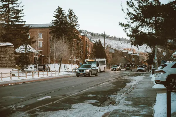Why Overpricing Fails in the Park City Luxury Market,Michael Diamond