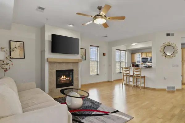 8235 Starr Grass Drive, Madison, WI 53719