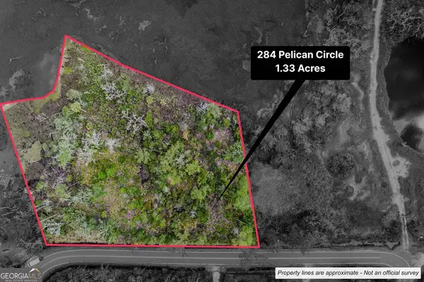 284 Pelican CIR, Woodbine, GA 31569