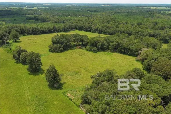 0 Circle R Farm Drive, Florala, AL 36442
