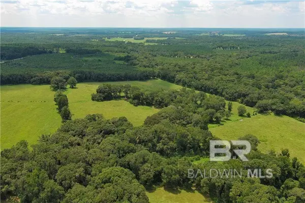 0 Circle R Farm Drive, Florala, AL 36442