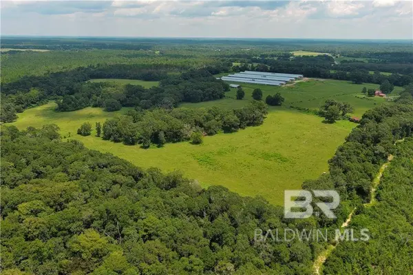 0 Circle R Farm Drive, Florala, AL 36442