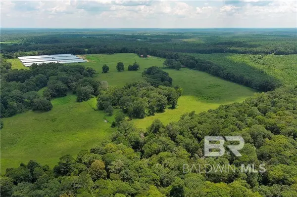 0 Circle R Farm Drive, Florala, AL 36442