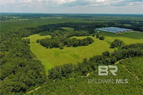 0 Circle R Farm Drive, Florala, AL 36442