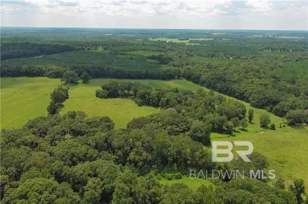 0 Circle R Farm Drive, Florala, AL 36442