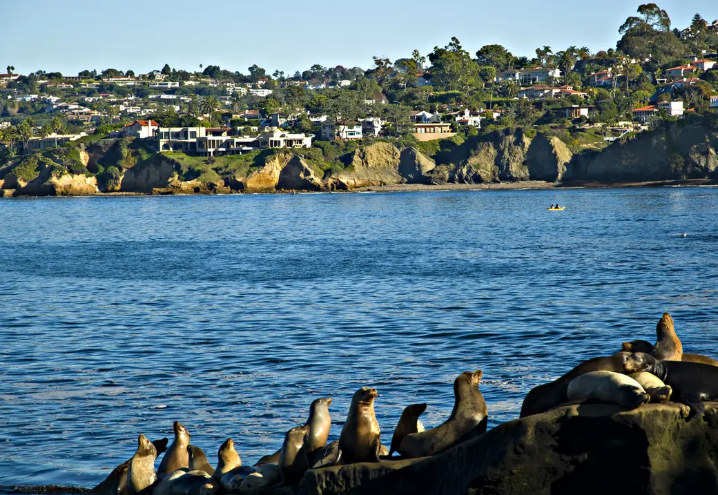 La Jolla vs Del Mar — Which San Diego Neighborhood is Right for Luxury Buyers?