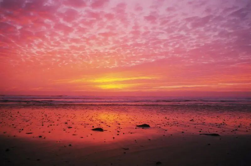 Cardiff by the Sea, Encinitas & Solana Beach: North County's Hidden Coastal Gems