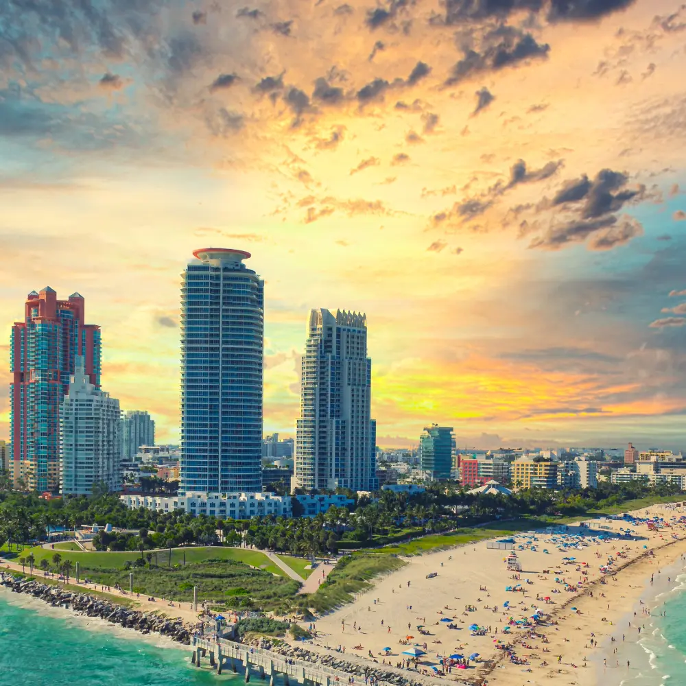 miami 6