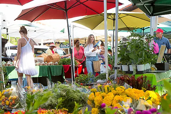 farmers-market-rsf