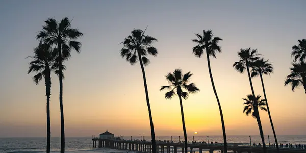 Moving from California to Florida in 2026: The Complete Relocation Guide
